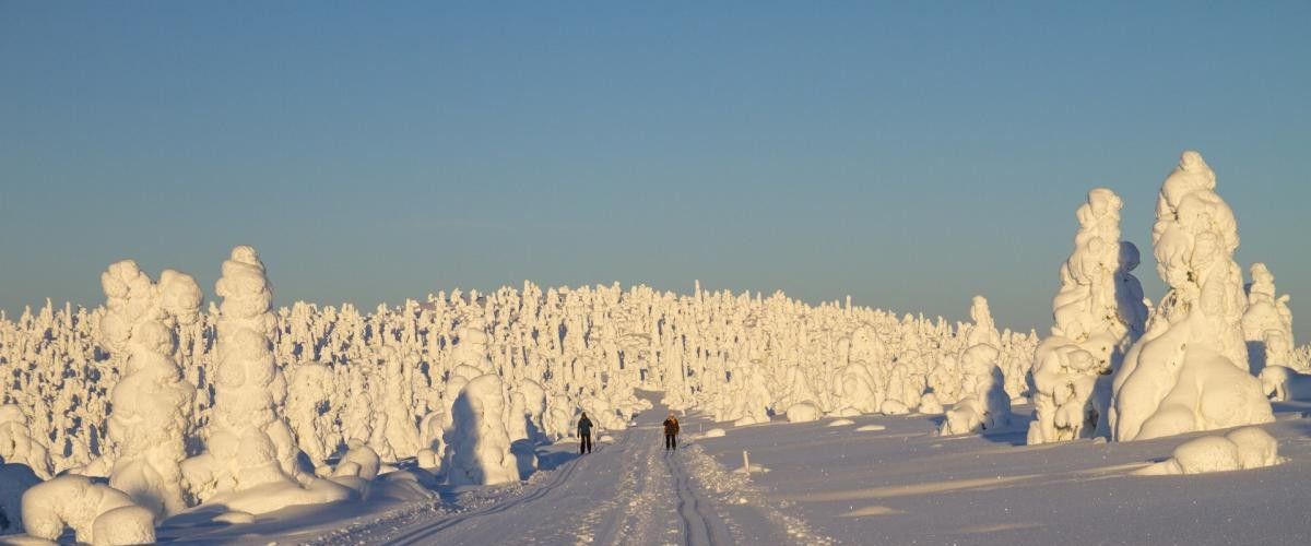 Langlaufen in finnischen Lappland